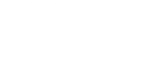 江戸の暮らしが息づく技と美